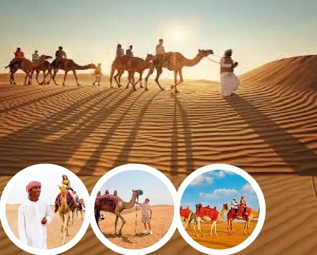 Camel Ride Dubai Desert Sunset